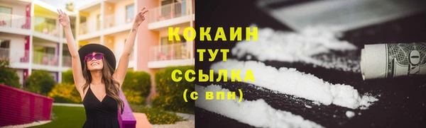 бошки Бородино